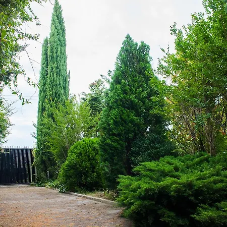 Villa Muzaka *