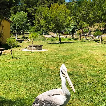 Villa Muzaka Divjake
