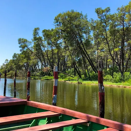 Muzaka Vila *